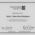 Ampliar imagem: certificate 3