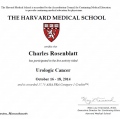 Ampliar imagem: certificate 3
