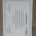 Ampliar imagem: certificate 1