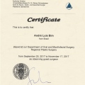 Ampliar imagem: certificate 5