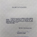 Ampliar imagem: certificate 5