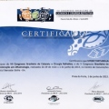 Ampliar imagem: certificate 9