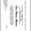 Ampliar imagem: certificate 3