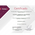 Ampliar imagem: certificate 11