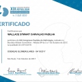 Ampliar imagem: certificate 6