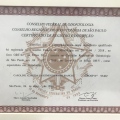 Ampliar imagem: certificate 2