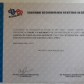 Ampliar imagem: certificate 5