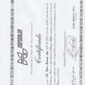 Ampliar imagem: certificate 7