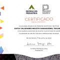 Ampliar imagem: certificate 6