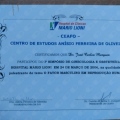 Ampliar imagem: certificate 11