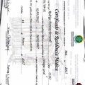Ampliar imagem: certificate 2