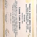 Ampliar imagem: certificate 5