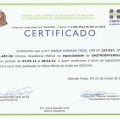 Ampliar imagem: certificate 3