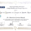 Ampliar imagem: certificate 2