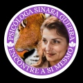 Sinara Guerra, Psicólogo Florianópolis