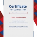 Ampliar imagem: certificate 9
