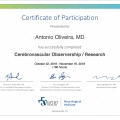 Ampliar imagem: certificate 3