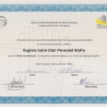 Ampliar imagem: certificate 8