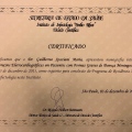 Ampliar imagem: certificate 3