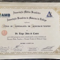 Ampliar imagem: certificate 9