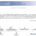 Ampliar imagem: certificate 19