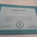 Ampliar imagem: certificate 6
