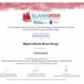 Ampliar imagem: certificate 9