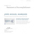 Ampliar imagem: certificate 11