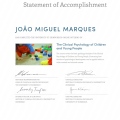 Ampliar imagem: certificate 7