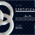 Ampliar imagem: certificate 4