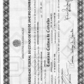 Ampliar imagem: certificate 1