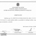 Ampliar imagem: certificate 3