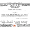 Ampliar imagem: certificate 3