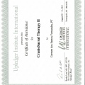 Ampliar imagem: certificate 9
