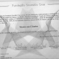 Ampliar imagem: certificate 5