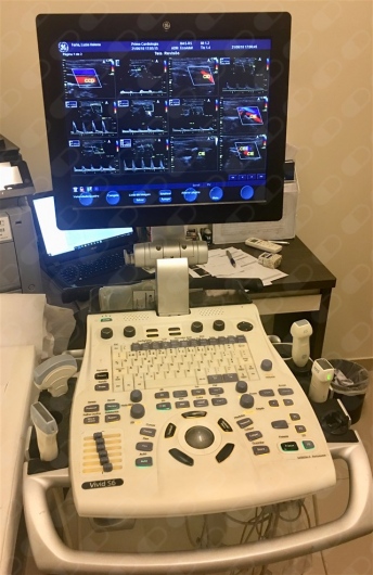 Claudia Maria De Freitas Bruno-4