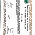 Ampliar imagem: certificate 3