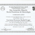 Ampliar imagem: certificate 3
