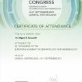 Ampliar imagem: certificate 13