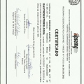 Ampliar imagem: certificate 4