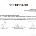 Ampliar imagem: certificate 9