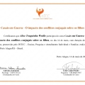 Ampliar imagem: certificate 13