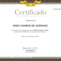 Ampliar imagem: certificate 4