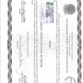 Ampliar imagem: certificate 4