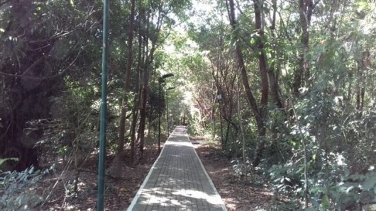 Sueli Oliveira Alves-1