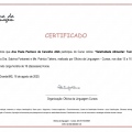 Ampliar imagem: certificate 27