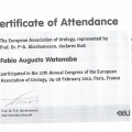 Ampliar imagem: certificate 13