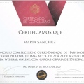 Ampliar imagem: certificate 8