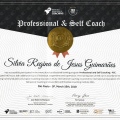 Ampliar imagem: certificate 6