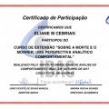 Ampliar imagem: certificate 10